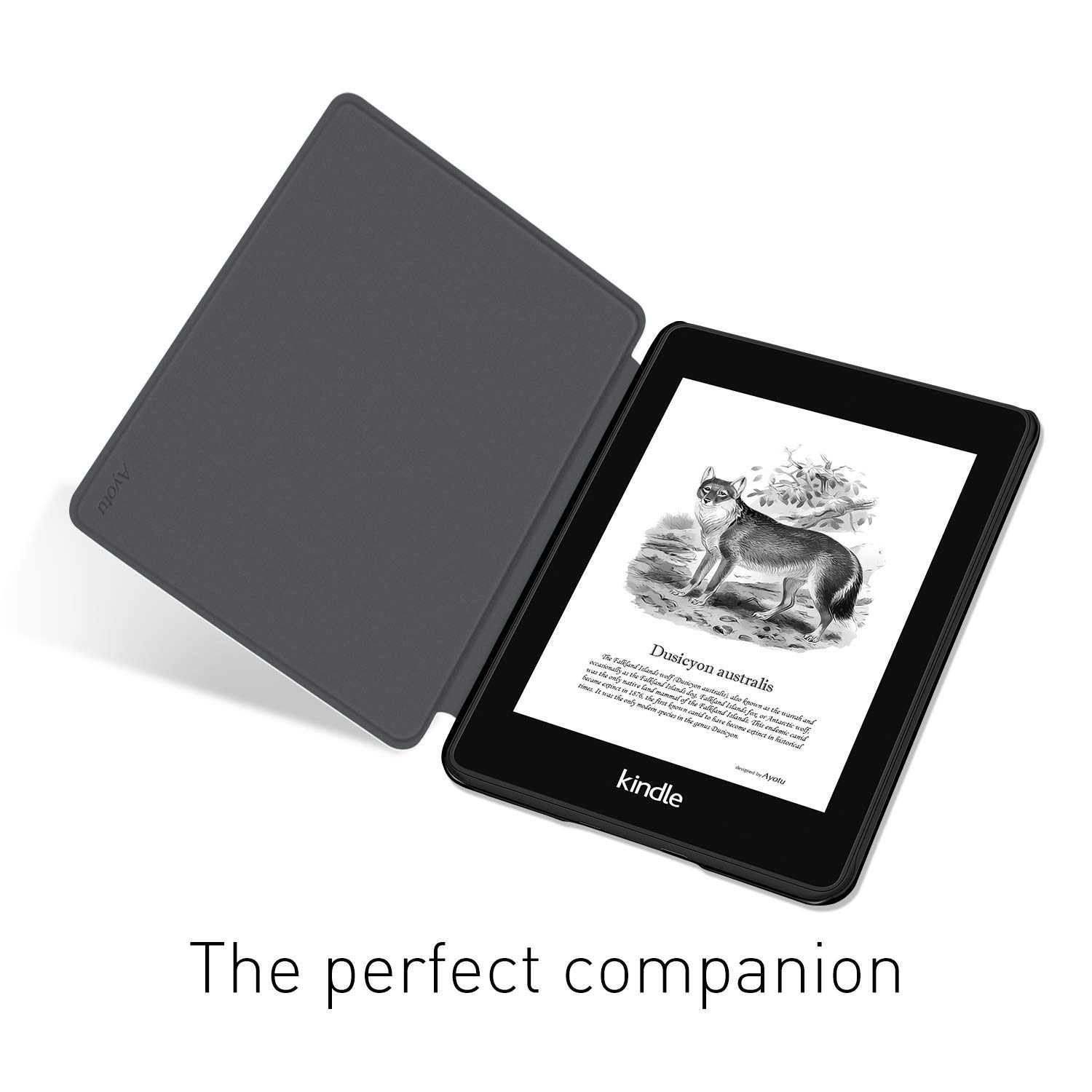 Kindle Paperwhite 5/6/7th 스마트  - Kindle Tablet Accessories 리뷰 및 가격